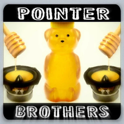 歌手 The Pointer Brothers