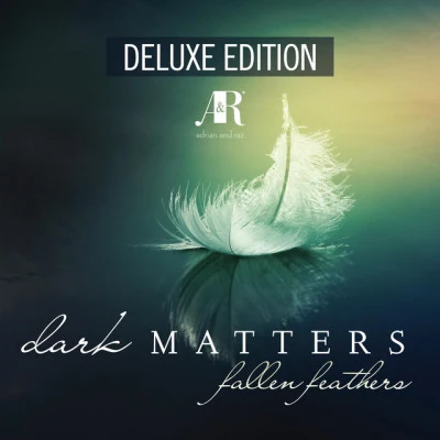 歌手 Dark Matters