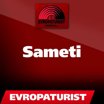 歌手 Sameti