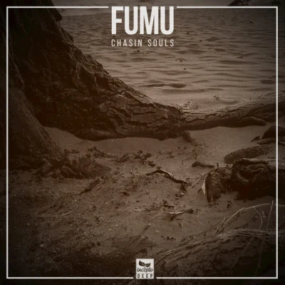 歌手 Fumu