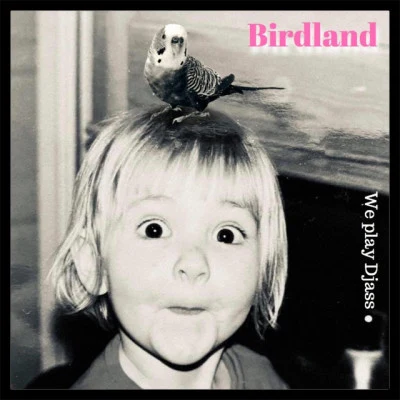 歌手 Birdland