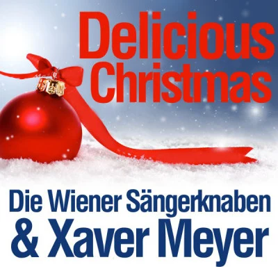 歌手 Xaver MeyerWiener Akademie Kammerchor