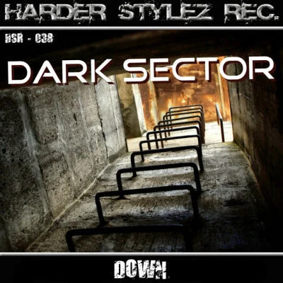 歌手 Dark Sector