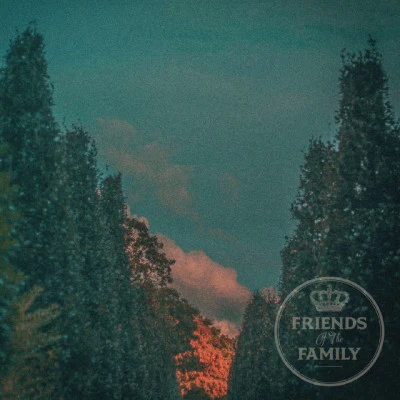 歌手 Friends Of The Family