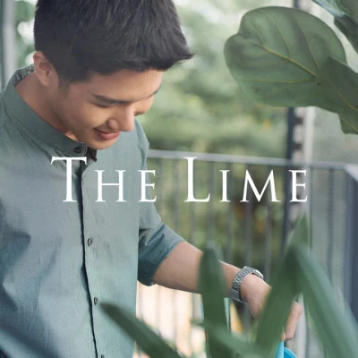 歌手 The Lime