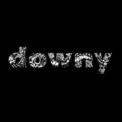 歌手 downy