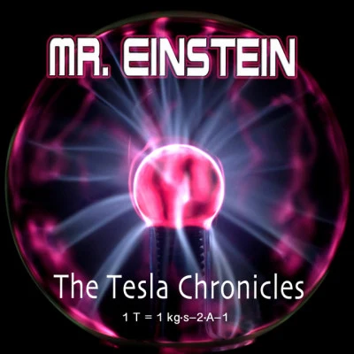 歌手 Mr. Einstein