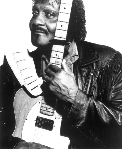 歌手 Albert Collins