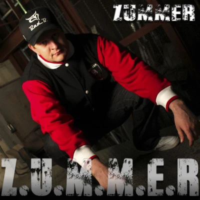 歌手 ZummeR