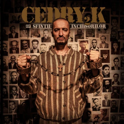 Cedry2k/Puya Muzica de tolaneala & depravare