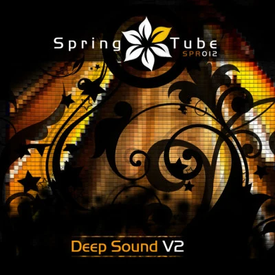 歌手 Deep Sound