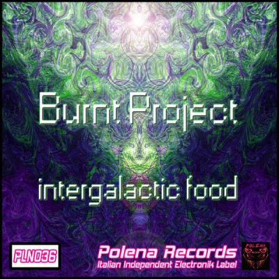 歌手 Burnt Project