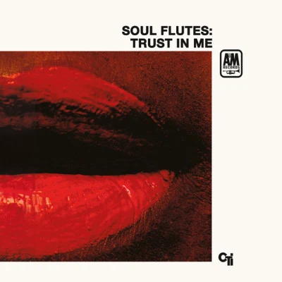 歌手 Soul Flutes