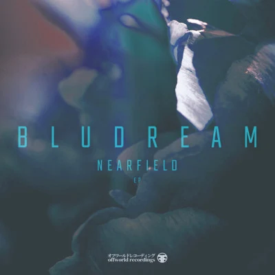 歌手 Bludream