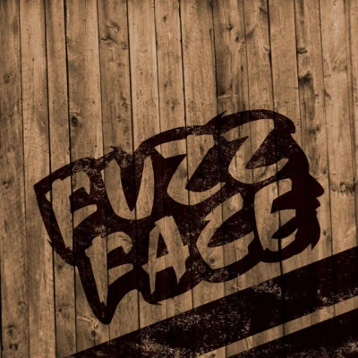 歌手 Fuzz Face