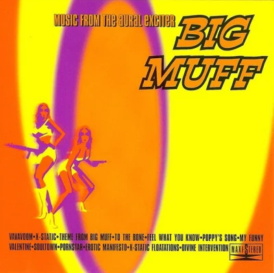 歌手 Big Muff