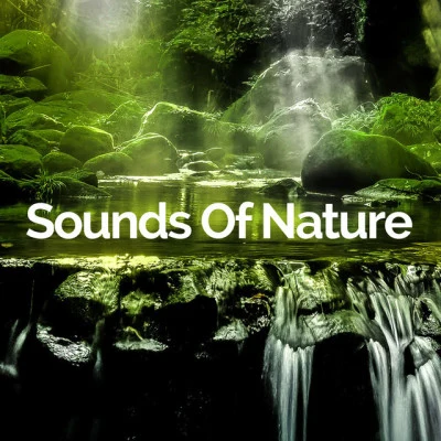 Sounds Of Nature/Soothing Sounds/Best Relaxation Music Explosion of Total Deep Relaxation – Keep Calm with Nature Sounds, Spiritual Healing Therapy, Pure Relaxing Sounds, Techniques for Anxiety