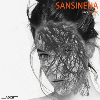 歌手 Sansinena