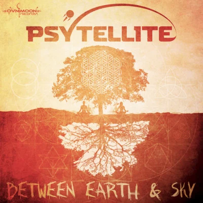 歌手 Psytellite