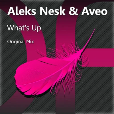 歌手 Aleks Nesk