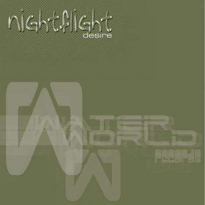 歌手 Nightflight