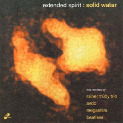 歌手 Extended Spirit