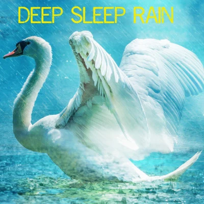 Wellness Pur/Organic Nature Sounds/Wellness Spa Deep Sleep Rain