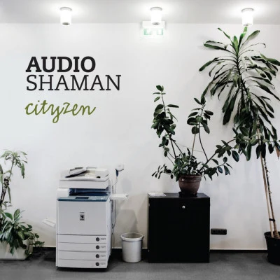 歌手 Audio Shaman