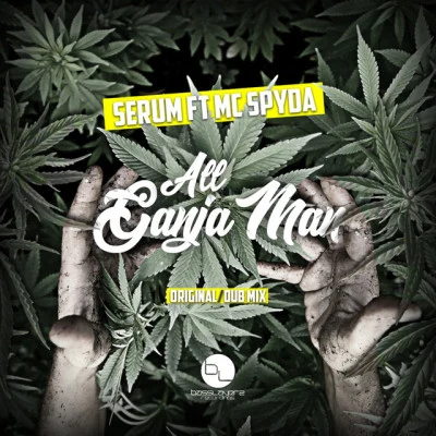 Mc Spyda/LeaF/Blackout JA/Beat Assassins/FLeCK/Benny Page Welcome To The Jungle: Drum & Bass X Jungle: Mixed By Deekline, Ed Solo & Serial Killaz