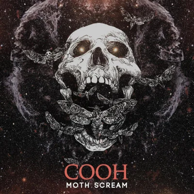 Cooh/The Sect Fractured State