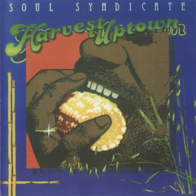 歌手 Soul Syndicate