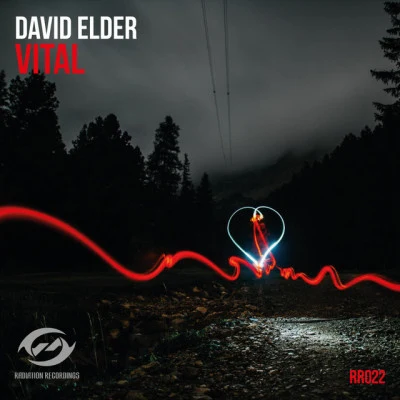 歌手 David Elder