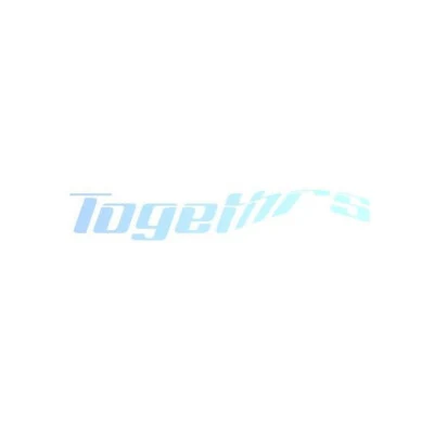 歌手 Togethrs