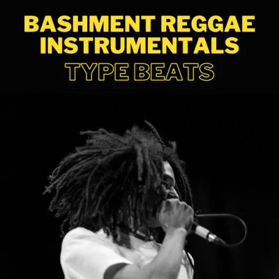 Reggae Instrumentals/Type Beats/hip-hop beats Bashment Reggae Instrumentals (Type Beats)