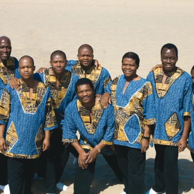 歌手 Ladysmith Black Mambazo