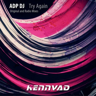 歌手 AdP dj