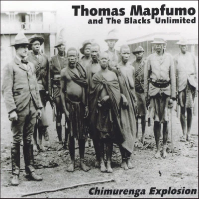 歌手 Thomas Mapfumo