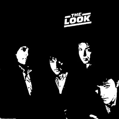 歌手 The Look