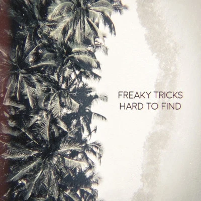 歌手 Freaky Tricks