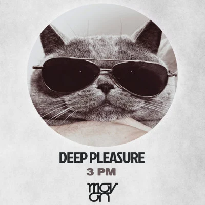 歌手 Deep Pleasure