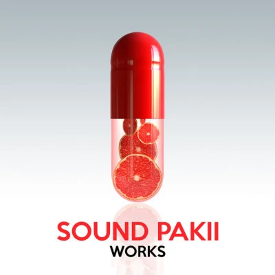 歌手 Sound Pakii