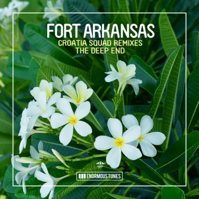 歌手 Fort Arkansas