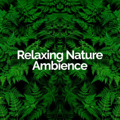 歌手 Relaxing Nature AmbienceNature &amp; Sounds BackgroundsMeditation Music Club