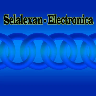 歌手 Selalexan