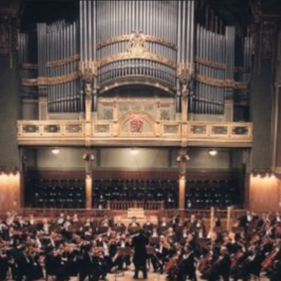 歌手 Budapest Symphony Orchestra