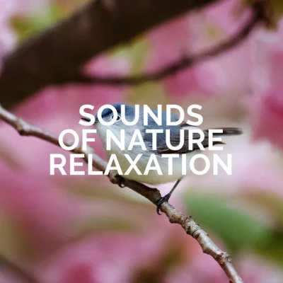 歌手 Sounds of Nature Relaxation