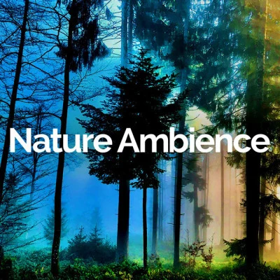 歌手 Nature AmbienceSonido de lluviaRain Drops for Sleep