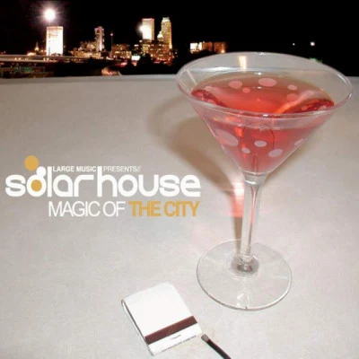 Solar House Get Large Miami 2015