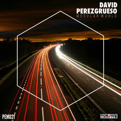 歌手 David Perezgrueso