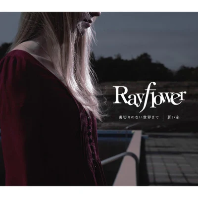 歌手 Rayflower